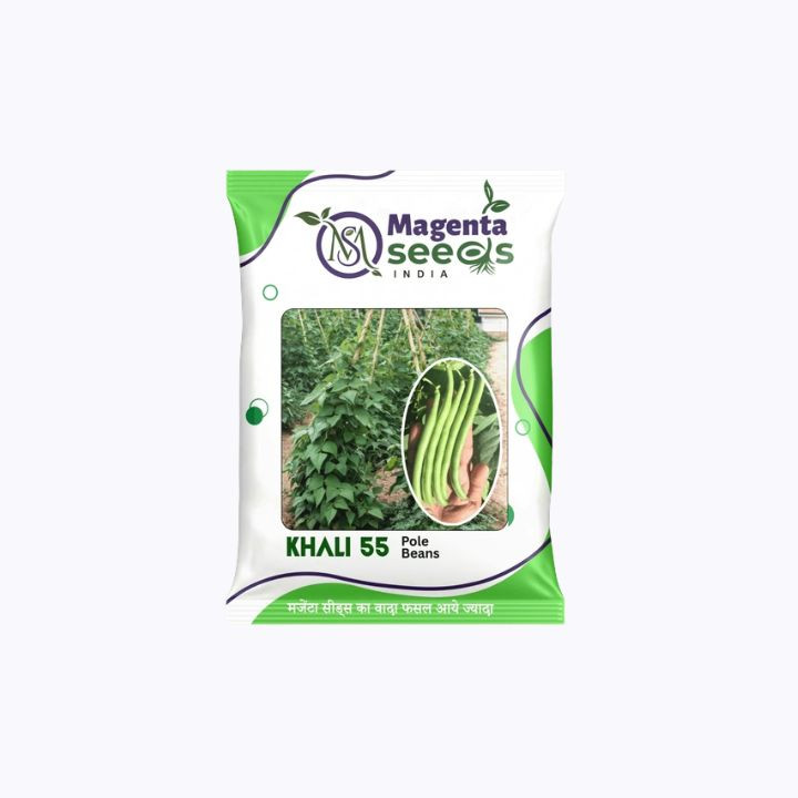 Magenta Khali-55 Pole Beans Seeds